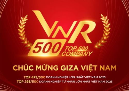 GIZA VIỆT NAM BỨT PHÁ TẠI BXH VNR500 NĂM 2025